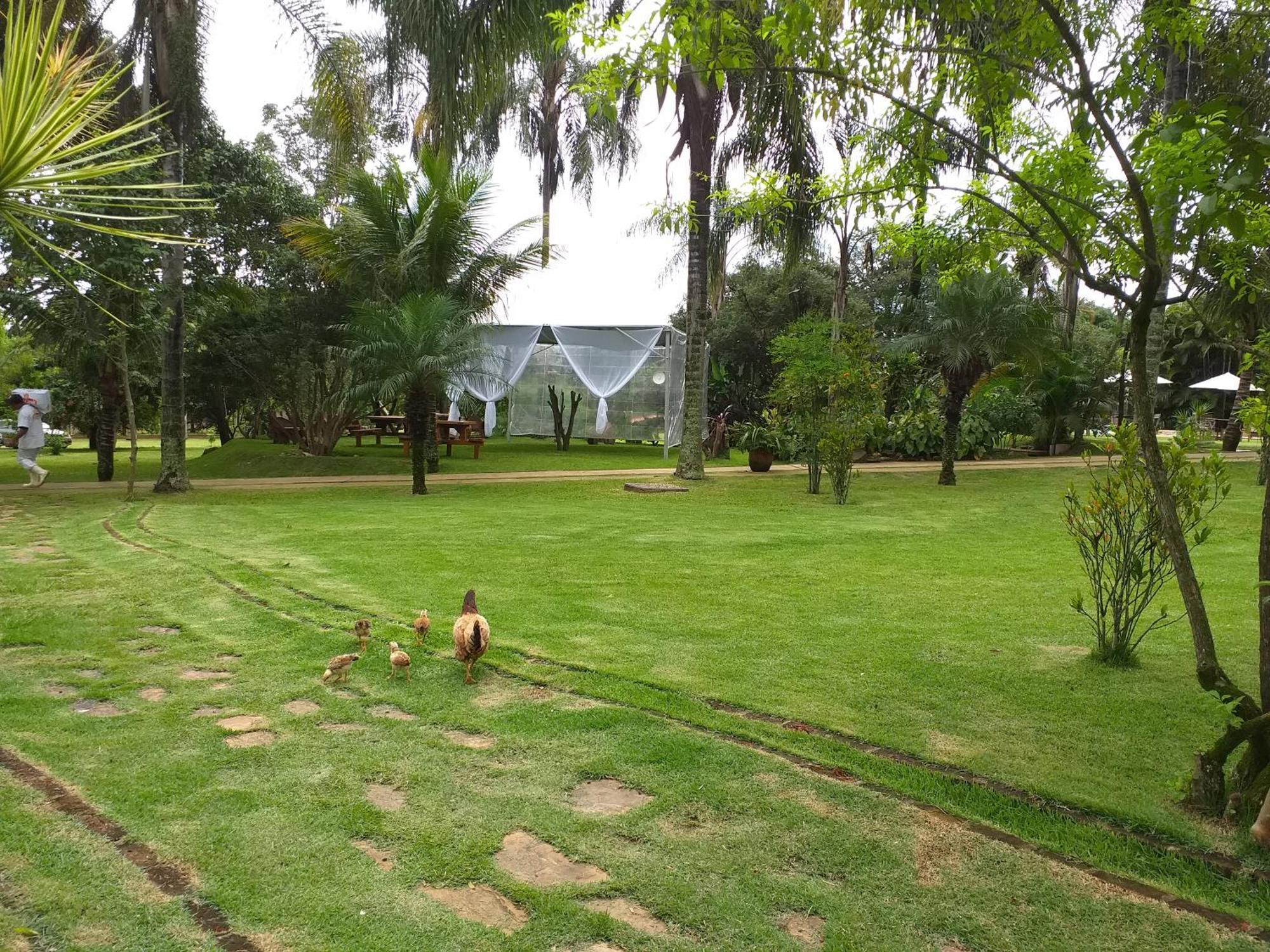Hotel Fazenda Igarapes מראה חיצוני תמונה